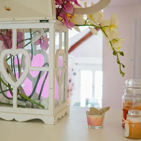 Butterfly Apartment *